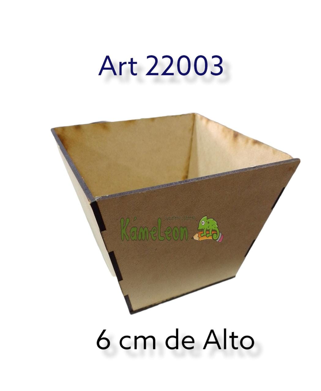 Maceta 6 cm alto 
