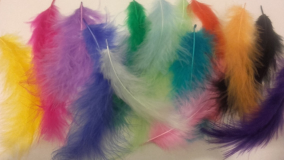 Plumas x 10 u