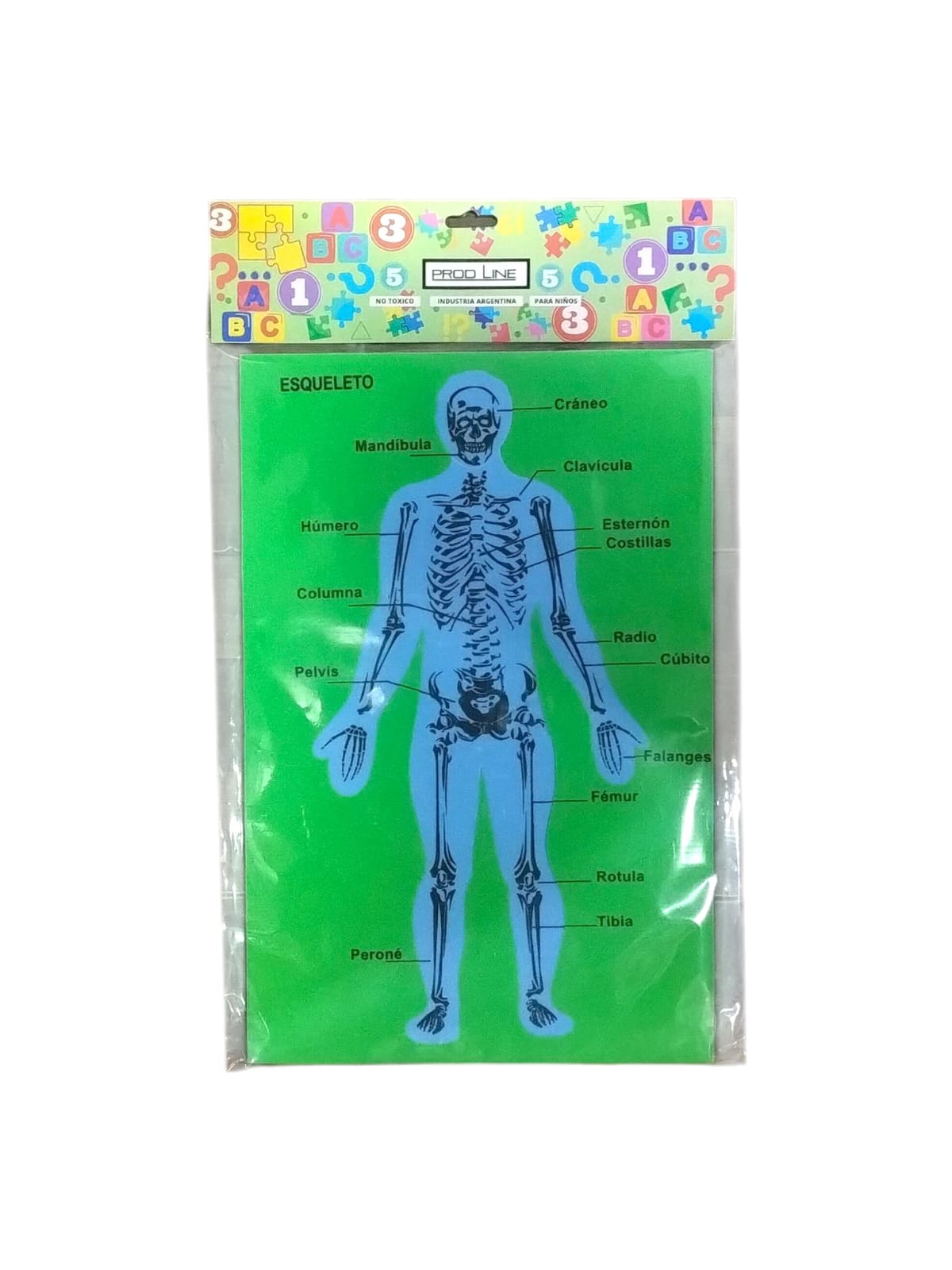 Juego de goma eva encastre cuerpo humano "huesos"