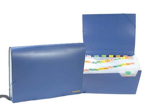Clasificador lama 12 divisionesa 4 azul 
