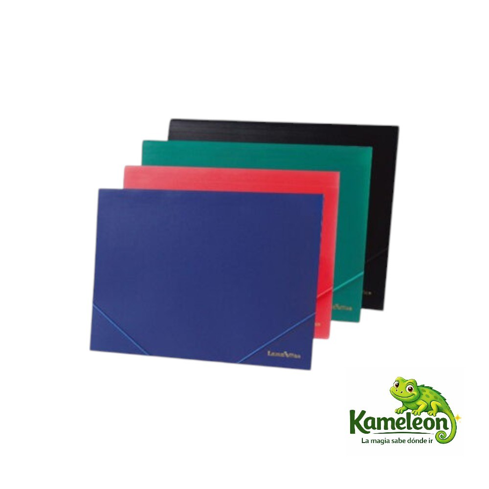 Carpeta 3 solapas plasticas opaca