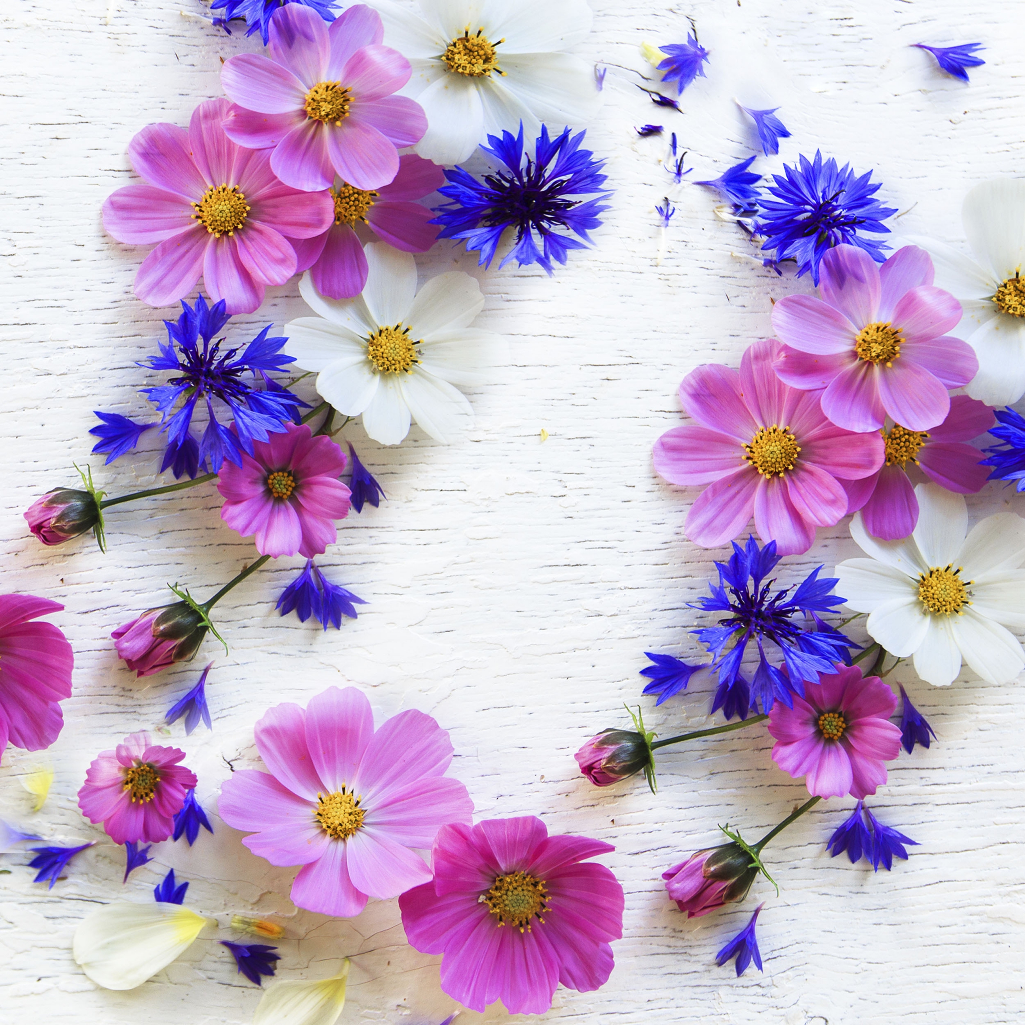Servilletas decoupage summer florals