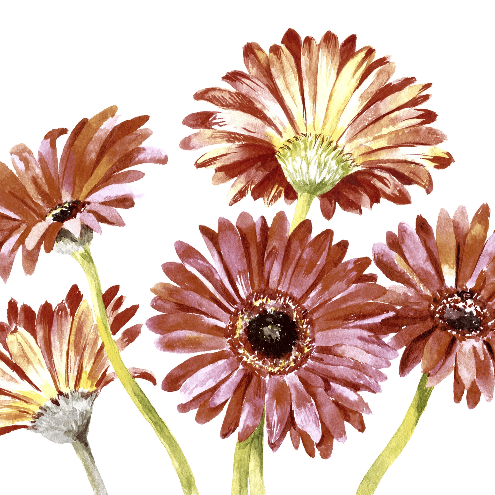 Servilletas decoupage gerbera art