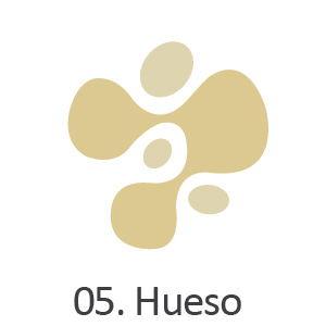 Pintura para tela hueso n.05 x 37ml.