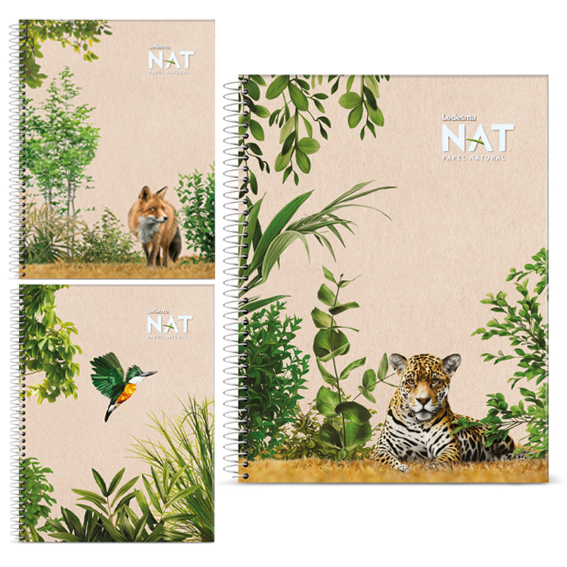 Cuaderno ledesma nat 29.7 84hj. cuadro
