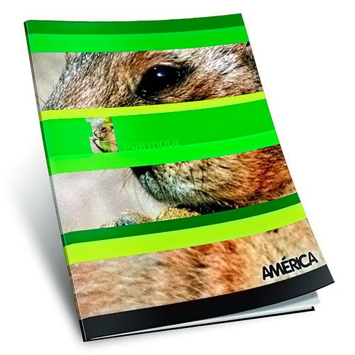 Cuaderno america tapa flexible  x 48 hs cuadros 