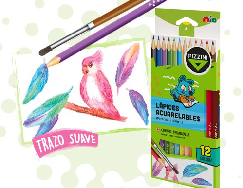 Lapices pizzini acuarelables x 12 colores