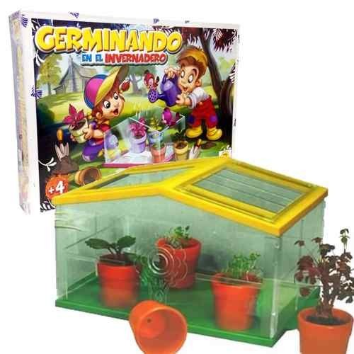 Juego de mesa germinando en el invernadero