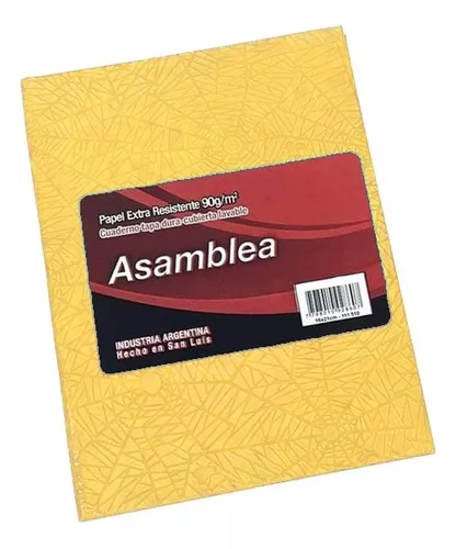 Cuaderno nro3 asamblea cuadros grandes araÑa amarillo 