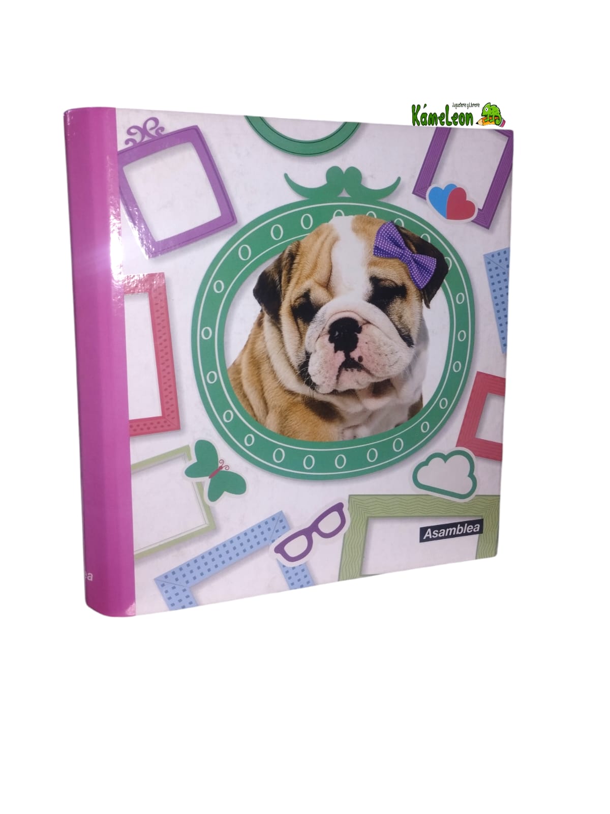 Carpeta asamblea numero 3 pets ii 