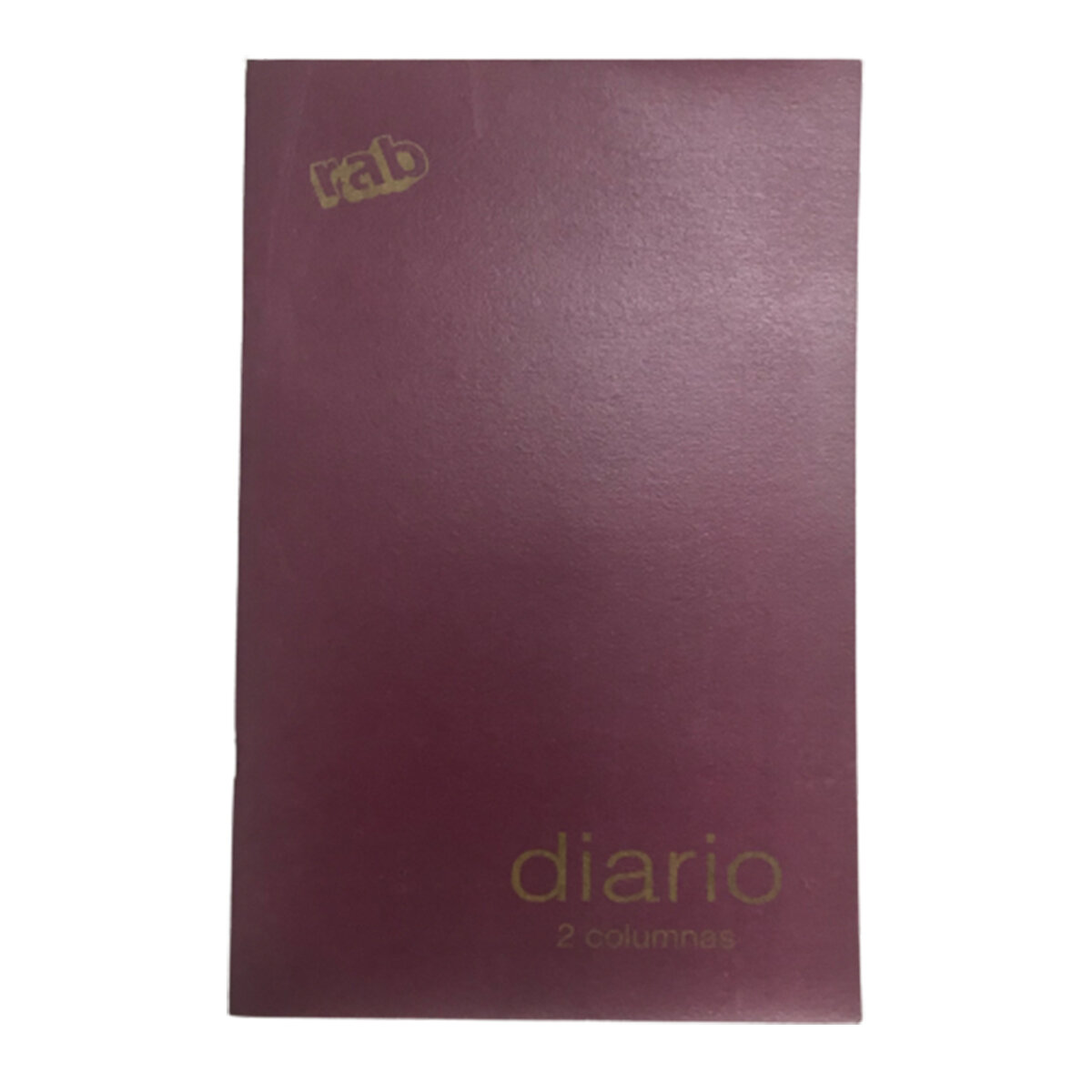 Libro rab diario dos columnas