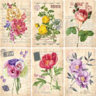 Lamina decoupage 04-411