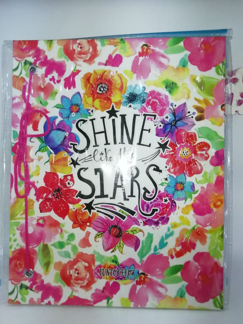 Carpeta punto cero nro 3 dos tapas shine