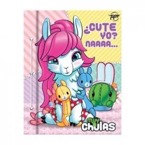 Carpeta big pocket nro 3 dos tapas muy chulas 