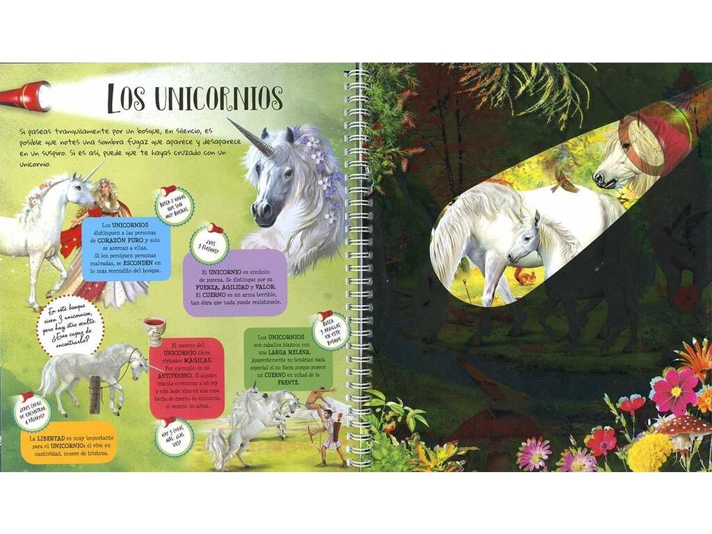 Imagen 2